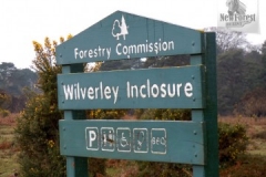 Wilverley Inclosure